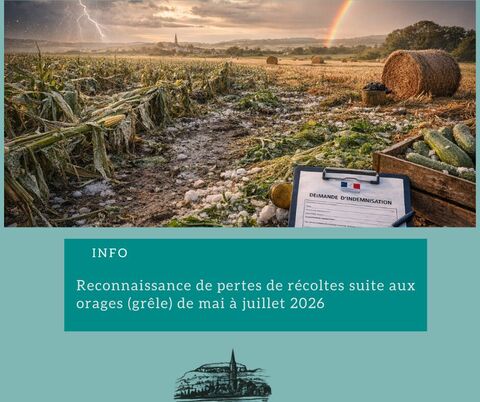 Arrêté de reconnaissance ministériel des pertes de récolte suite aux orages (grêle) de mai à juillet 2026 sur 98 communes du département