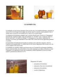 atelier KOMBUCHA plantes et cie saint jean le centenier