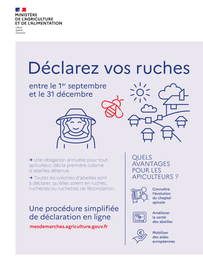 Campagne de déclaration des ruches 2025