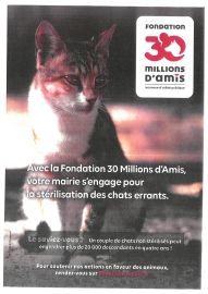 Campagne stérilisation des chats errants