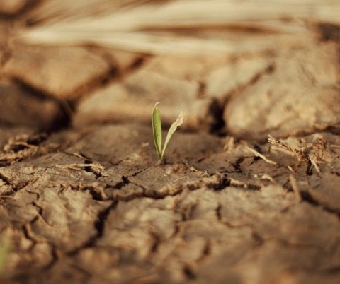 Etat de catastrophe naturelle