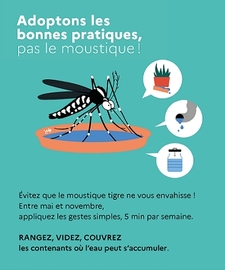 Lutte contre le moustique tigre